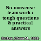 No-nonsense teamwork : tough questions & practical answers /