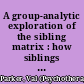 A group-analytic exploration of the sibling matrix : how siblings shape our lives /