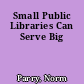 Small Public Libraries Can Serve Big