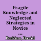 Fragile Knowledge and Neglected Strategies in Novice Programmers. IR85-22