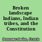 Broken landscape Indians, Indian tribes, and the Constitution /