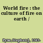 World fire : the culture of fire on earth /