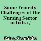 Some Priority Challenges of the Nursing Sector in India /