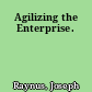 Agilizing the Enterprise.