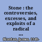 Stone : the controversies, excesses, and exploits of a radical filmmaker /