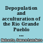 Depopulation and acculturation of the Rio Grande Pueblo Indians /