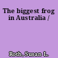The biggest frog in Australia /