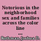 Notorious in the neighborhood sex and families across the color line in Virginia, 1787-1861 /