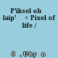 P'iksel obŭ laip'ŭ = Pixel of life /