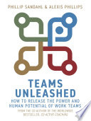 Teams unleashed : a coaching framework to release the power and human potential of work teams /