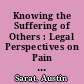 Knowing the Suffering of Others : Legal Perspectives on Pain and Its Meanings.