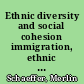 Ethnic diversity and social cohesion immigration, ethnic fractionalization and potentials for civic action /