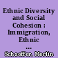 Ethnic Diversity and Social Cohesion : Immigration, Ethnic Fractionalization and Potentials for Civic Action.