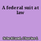 A federal suit at law