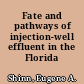 Fate and pathways of injection-well effluent in the Florida Keys