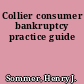 Collier consumer bankruptcy practice guide