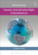 Economic, social and cultural rights in international law /