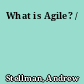 What is Agile? /