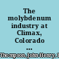 The molybdenum industry at Climax, Colorado : a geographic study /