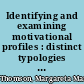 Identifying and examining motivational profiles : distinct typologies with blended motives /