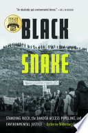 Black snake : Standing Rock, the Dakota Access Pipeline, and environmental justice /