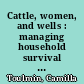 Cattle, women, and wells : managing household survival in the Sahel /