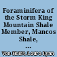 Foraminifera of the Storm King Mountain Shale Member, Mancos Shale, western Colorado /
