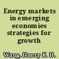 Energy markets in emerging economies strategies for growth /