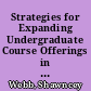 Strategies for Expanding Undergraduate Course Offerings in Foreign Language for Business