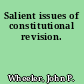 Salient issues of constitutional revision.