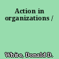 Action in organizations /