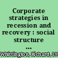 Corporate strategies in recession and recovery : social structure and strategic choice /