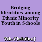 Bridging Identities among Ethnic Minority Youth in Schools